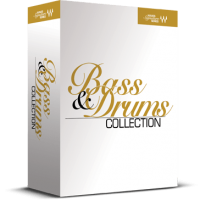 Waves Bass and Drums Plug-In
